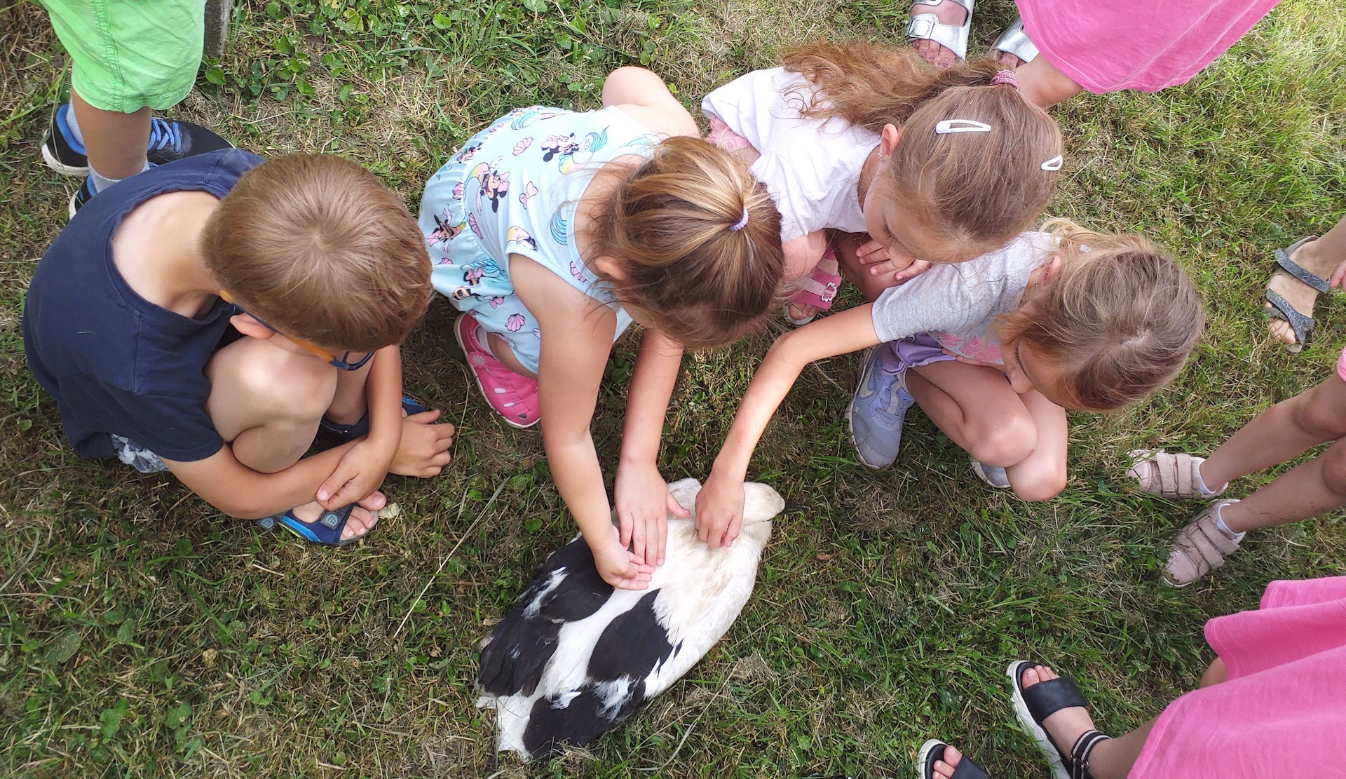 Fotó_Papp Ferenc_20240620_103106.jpg